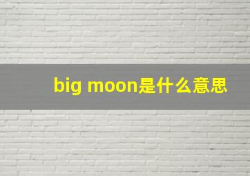 big moon是什么意思